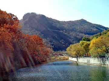 天天彩好彩天天免费，国内水运价格